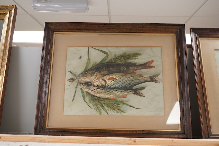 Late 19th century, Studies of fish, pair of embossed chromolithographs, each 26 x 35cm